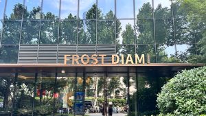 Read more about the article The Frost Diamond Legacy: Where East Meets West
